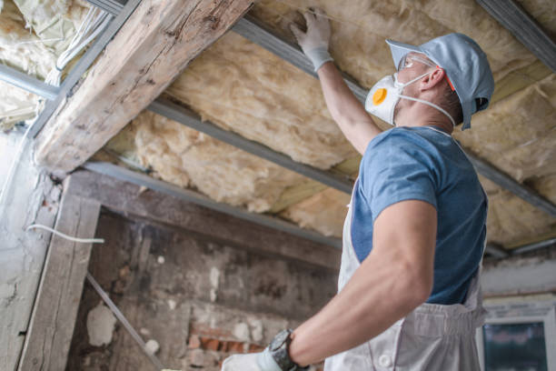 Attic Insulation Near Me in Delmar, DE