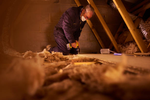 Best Insulation Repair Services  in Lmar, DE